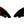 Load image into Gallery viewer, MACHADO TOO FISH TWIN KEEL BLACK/RED