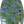 Load image into Gallery viewer, ZAP MINI LAZER 35