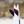 Load image into Gallery viewer, MACHADO TOO FISH TWIN KEEL BLACK/RED