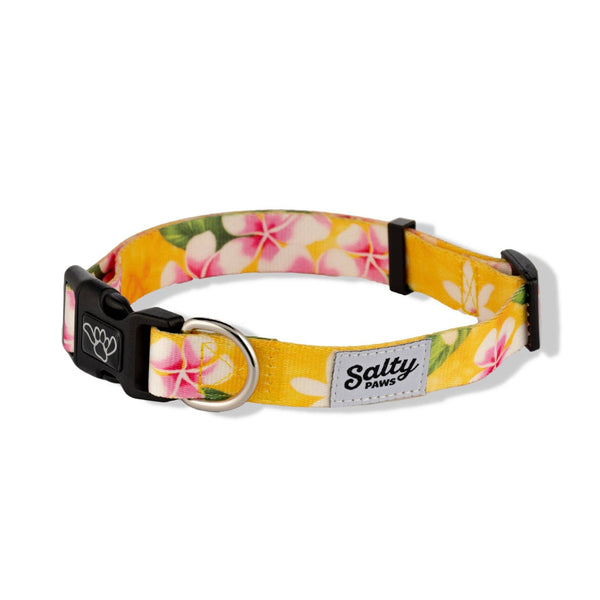 Salty Paws Tropical Dog Collar