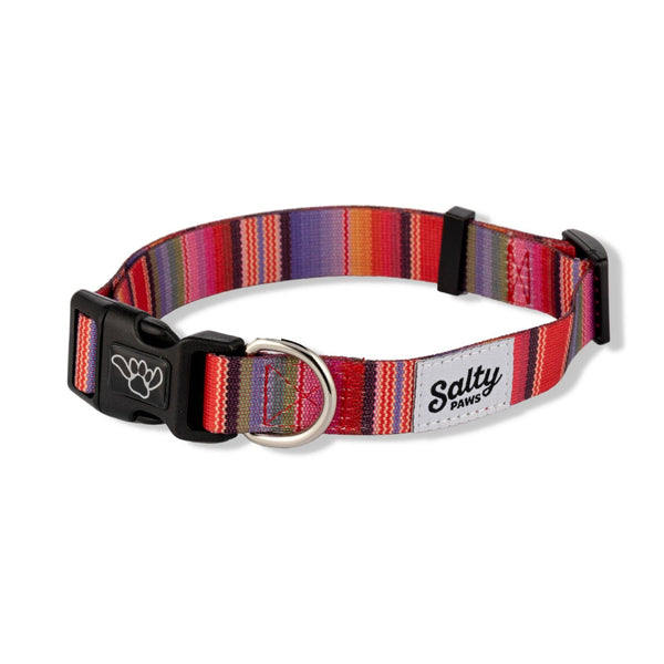 Salty Paws Tropical Dog Collar
