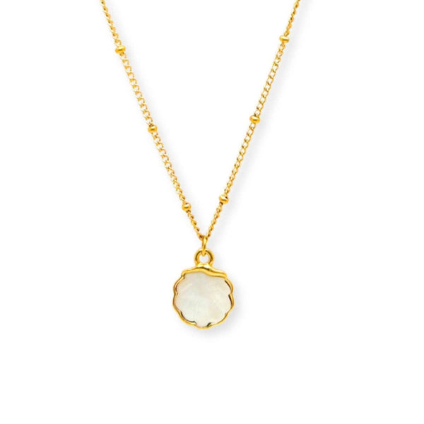 Cockle Mother Pearl Necklace ~ Salty Shells