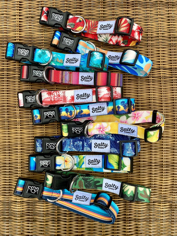 Salty Paws Turtle Dog Collar by D. Friel Made From Recycled Plastic Bottles