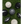 Load image into Gallery viewer, LOCAL BEACH SOCCER BALL CHECKERED
