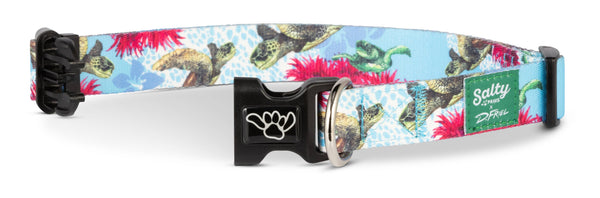 Salty Paws Turtle Dog Collar by D. Friel Made From Recycled Plastic Bottles