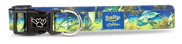 Salty Paws Mahi -Mahi Fish Print Dog Collar D. Friel Connected By Water Collaboration Made from Recycled Plastic Bottles