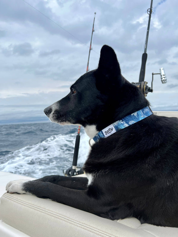 Blue Wave Dog Collar Made From Recycled Plastic Bottles