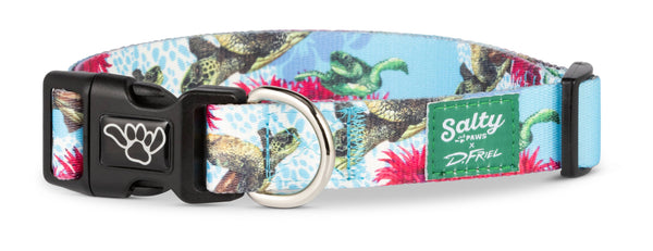 Salty Paws Turtle Dog Collar by D. Friel Made From Recycled Plastic Bottles