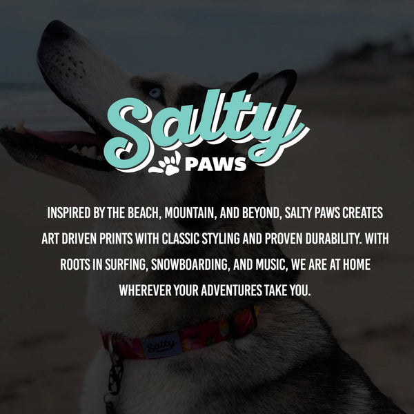 Surf Stripe Dog Collar Made From Recycled Plastic Bottles