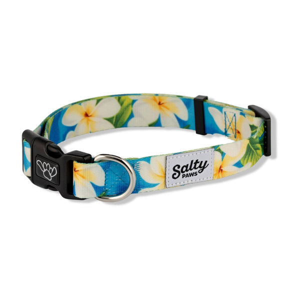 Salty Paws Tropical Dog Collar