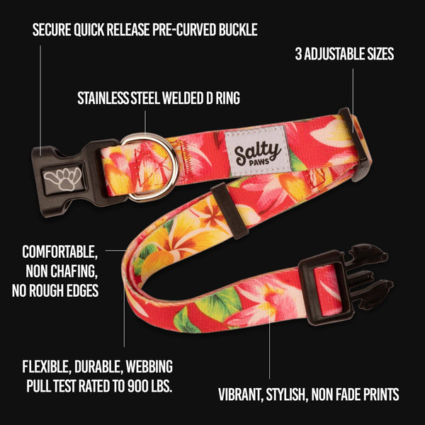 California Sunset Dog Collar Made From Recycled Plastic Bottles