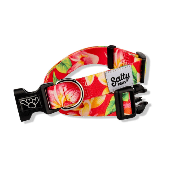 Tropical Dog Collar Pink Floral Print Dog Collar