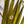Load image into Gallery viewer, Beachy ~ Salty Pendants
