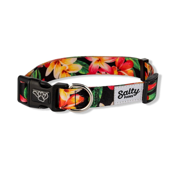 Salty Paws Tropical Dog Collar