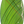 Load image into Gallery viewer, ZAP MEDIUM WEDGE 45"
