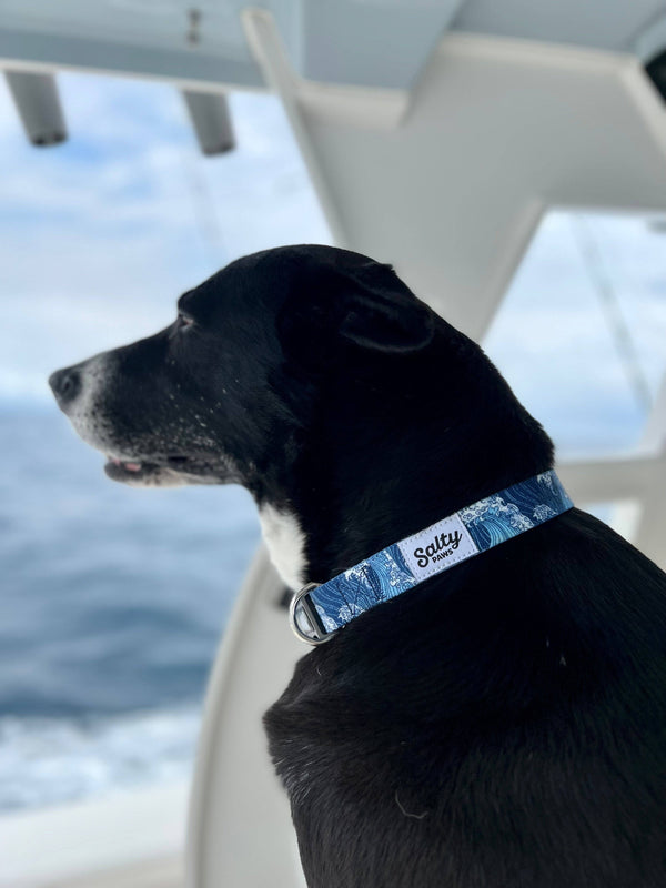 Blue Wave Dog Collar Made From Recycled Plastic Bottles