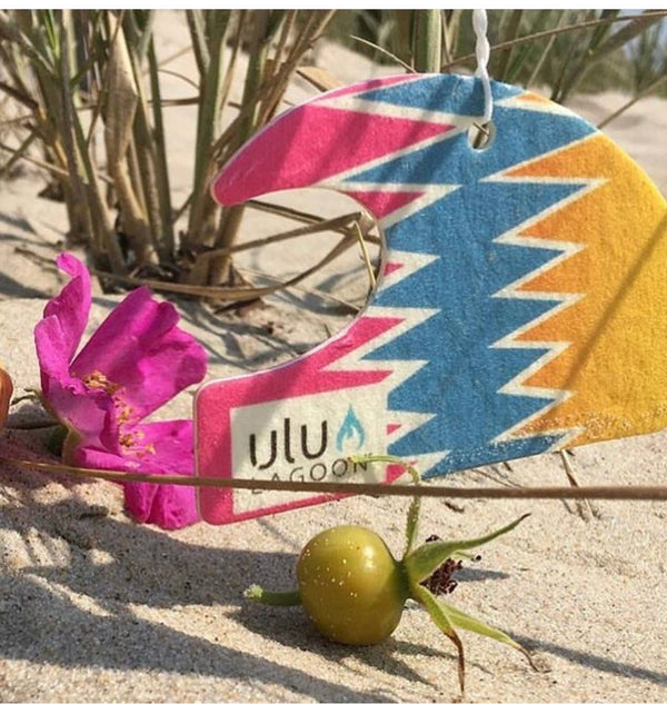 80's Mini Wave Air Freshener - Coconut Surf Scent