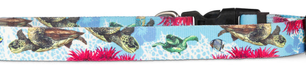 Salty Paws Turtle Dog Collar by D. Friel Made From Recycled Plastic Bottles