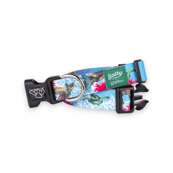 Salty Paws Turtle Dog Collar by D. Friel Made From Recycled Plastic Bottles