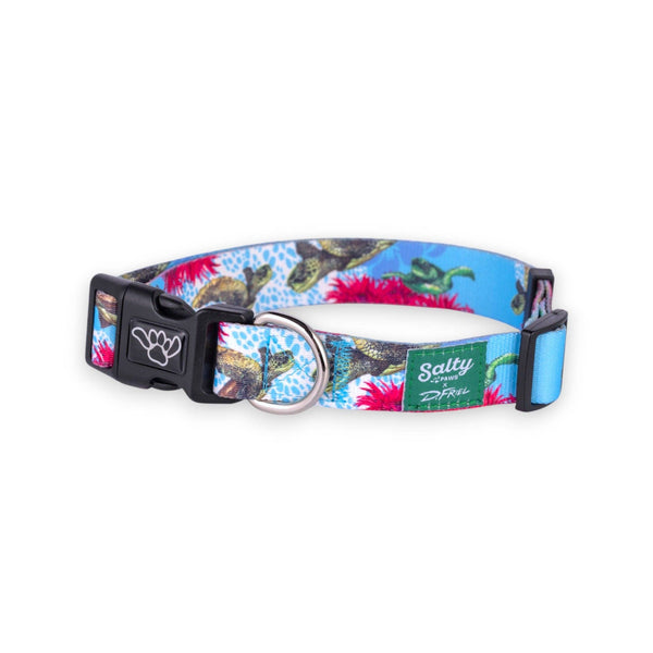 Salty Paws Turtle Dog Collar by D. Friel Made From Recycled Plastic Bottles