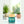 Load image into Gallery viewer, True Ocean: Reed Diffuser
