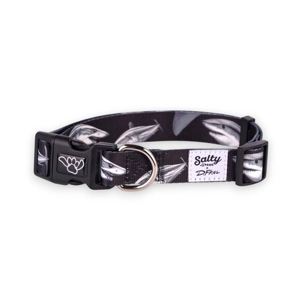 Salty Paws Tropical Dog Collar