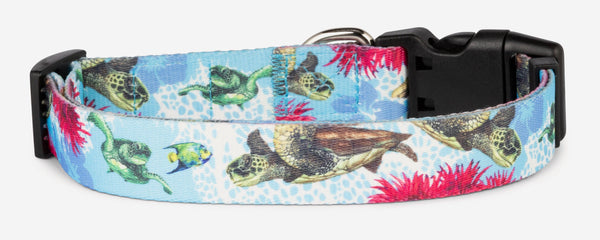 Salty Paws Turtle Dog Collar by D. Friel Made From Recycled Plastic Bottles