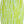 Load image into Gallery viewer, ZAP FUSE X 52" EPOXY GATORSKIN YELLOW
