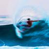 FCS II H4 FIN LARGE